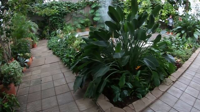 CONTAX G2 или LEICA minilux / KODAK PORTRA 400 смотреть онлайн