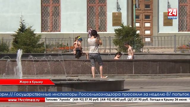 В жару лучше пить зеленый чай смотреть онлайн