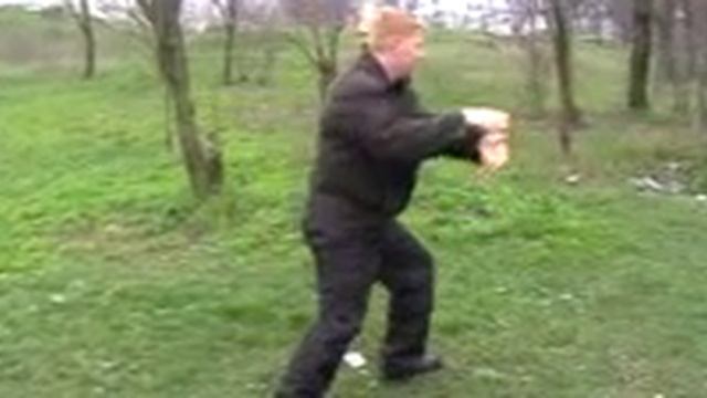 Тайцзицюань стиль Ян 48 форм
