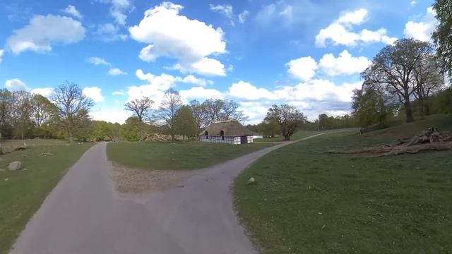 KingSong 18XL Electric Unicycle Ride in the Deergarden (Insta 360 One X Footage) смотреть онлайн