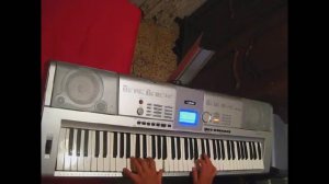 Yamaha DGX 205 CALIFORNICATION   version by Pedro Gutierrez