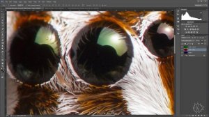 Хроматическая аберрация в Photoshop