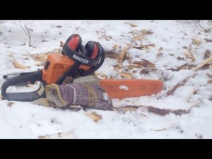 Когда валить лес