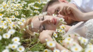 Песня "Обойду стороною ромашку"