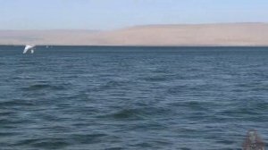Озеро Кинерет. Галилейское море