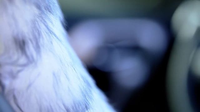 Накидки из натуральной овчины iSky смотреть онлайн