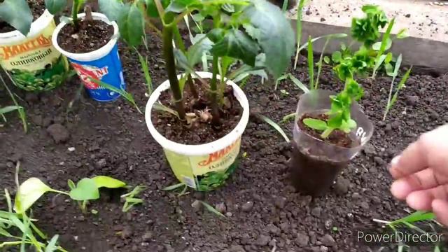 У НАС НОВЫЙ БИЗНЕС