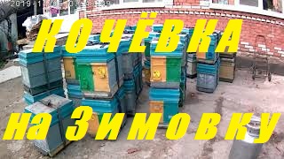 Кочевая пасека на зимовку в Горячий Ключ.Двух семейная зимовка пчел.Улья корпусные 8 рам.
