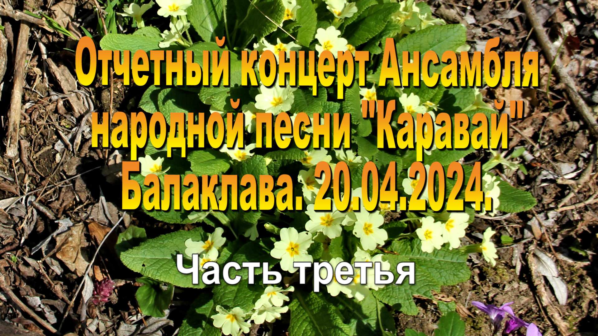 20.04.2024. Отчетный концерт ансамбля "Каравай". часть 3