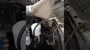 Ямз на Америку.