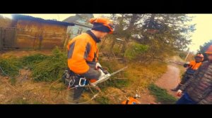 бензопилы для арбористов STIHL
