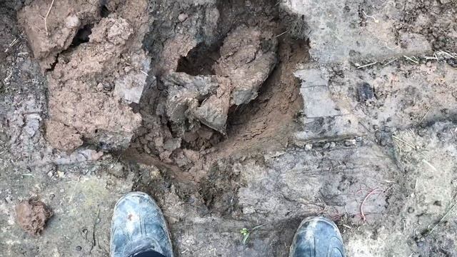 Длина норы у кроликов в вольере. Содержание и размножение кроликов. Мои кролики. Дачная Жизнь ТВ.