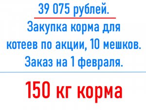 ВНИМАНИЕ! 39 075 рублей. Закупка корма для котеев по акции, 10 мешков. Заказ на 1 февраля.