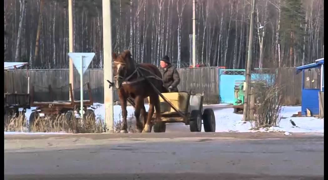 Благодатное паломничество на Сольбе