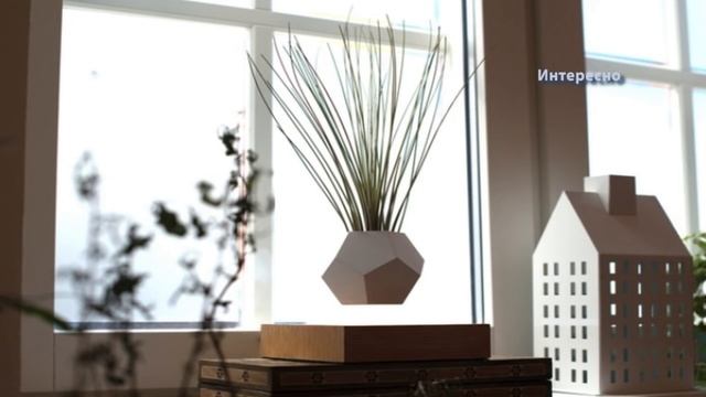 Интересно. Парящие цветочные горшки
