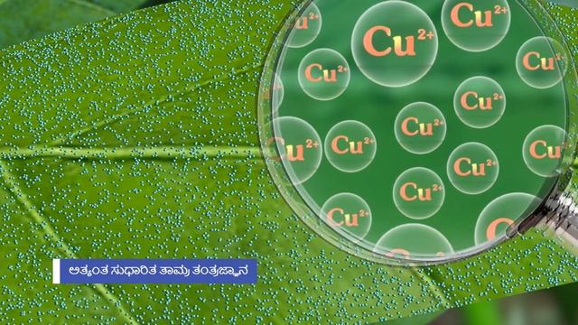 Kocide 3000 | Kannada смотреть онлайн