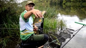 Рыбалка на Быстрой Сосне 9кг за 4 часа.