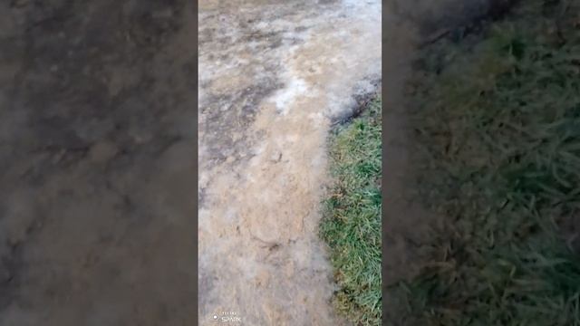 В Хозяйстве всегда работа, выходных нет. смотреть онлайн