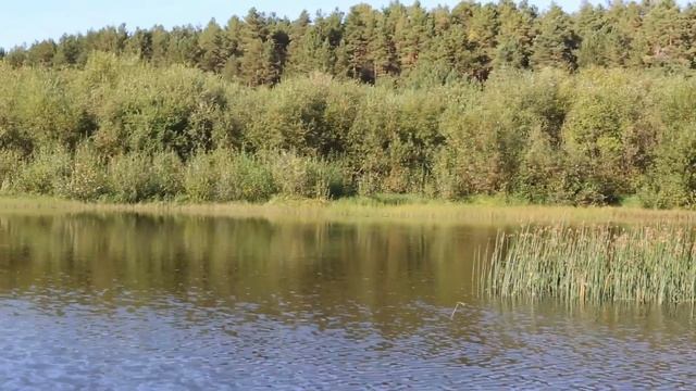 Моя первая рыбалка с лодки на Унже смотреть онлайн