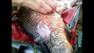 #ЛУЧШАЯ ЧИСТКА РЫБЫ РУКАМИ