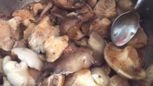 Часть.1. Впервые на ютубе) Вешенки на углях на мангале! Видео-рецепт.