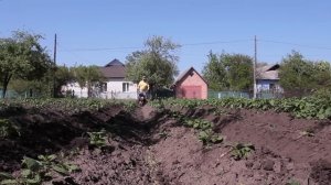 Окучивание картофеля активными окучниками пропеллерного типа