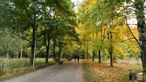 Взяв по дешевке иномарку, хирург поехал освятить ее у сельского батюшки, но едва он открыл салон