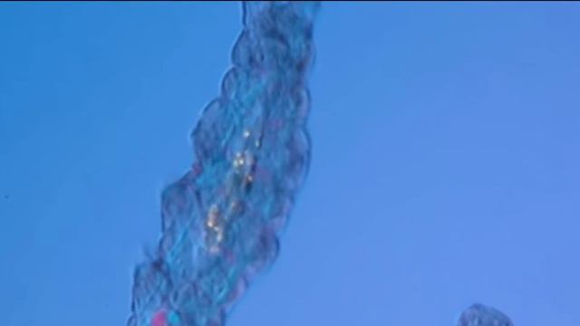 #2- NOUS ET LES EXTRATERRESTRES DOCUMENTAIRE - LA SCIENCE-FICTION VS LA REALITE смотреть онлайн