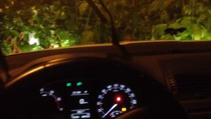 Стук рулевой рейки Skoda Octavia A5FL