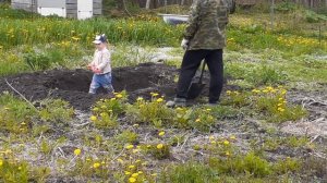 Пруд для гусей своими руками...