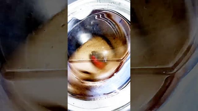 Быстрая стирка постельного белья Быстрая стирка 60' 60° 1000 об мин