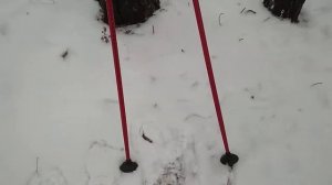 Палки для скандинавской ходьбы Outventure