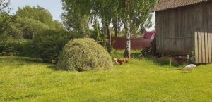 КОМПОСТНАЯ ЯМА И СТОЖОК СЕНА