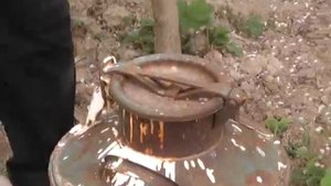 Крапива. Удобрение из крапивы для фруктовых  деревьев