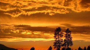 Вдали, вдали я вижу крест