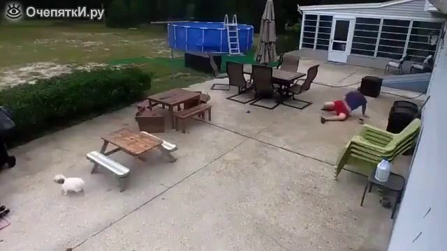 Зло петух злой петух смотреть онлайн