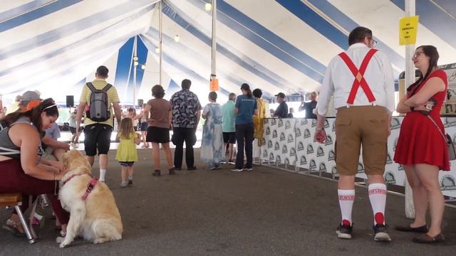 Швейцарская немецкая полька. Городок Нью Гларус, Висконсин. смотреть онлайн