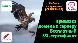 Настройка сервера Apache + NGiNX для ответа по доменному имени.  Подключение SSL сертификата.