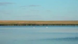 Мой Перелюб