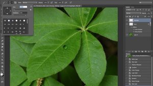 How to make water drops on a leaf in Photoshop