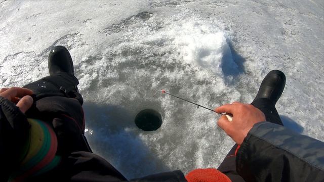 Жерлицы на Леща!!!! Крупняк клюёт. Ловля леща на жерлицы.