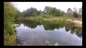 Нерусса и Голавль. Брянский лес