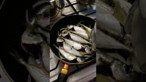 Шкара из Ставриды Ялтинская "классическая" ( Аутентичный рецепт)