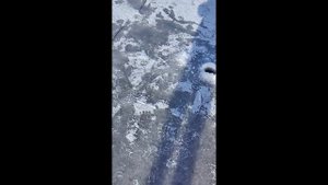 Зимняя рыбалка с палаткой 27-28.01.2024 в Беларуси