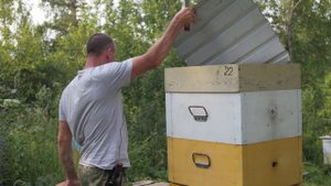 Идет основной взяток