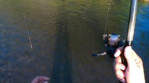 Рыбалка на хариуса, ленка и тайменя в августе