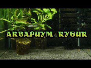 НОВЫЙ ВИД КУБИКА