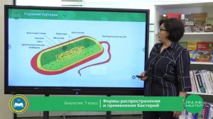 7 класс. Биология. Формы распространения и применения бактерий. 13.05.2020
