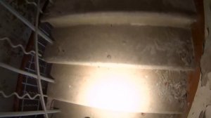 Заброшенная усадьба графа Воронцова Дашкова. Новотомниковский конный завод