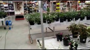 Осенний обзор цветочного магазина. В октябре.